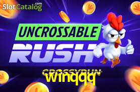 winqqq,winqqq.com