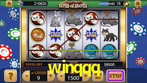 winqqq